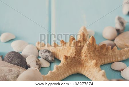 Seashells and starfish on blue wood, sea vacation background, copy space on wooden planks