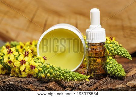 a mullein - verbascum extract - close up