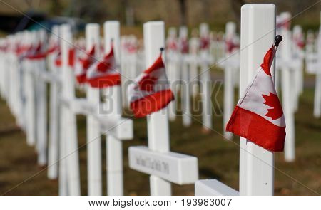 Close up of one cross with Canadian Flag and blurred soldiers' names