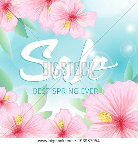 Spring sale poster with pink exotic tropical hibiscus flowers as decorative addition background, seasonal discount image for promotion. Vector illustration