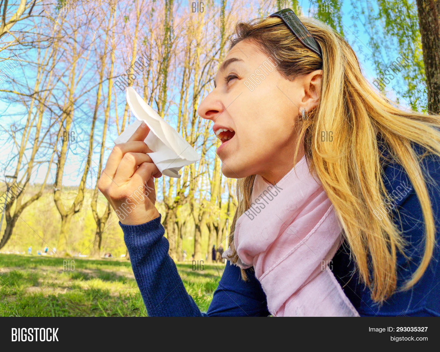 Sneeze Allergic Hay Image & Photo (Free Trial) Bigstock