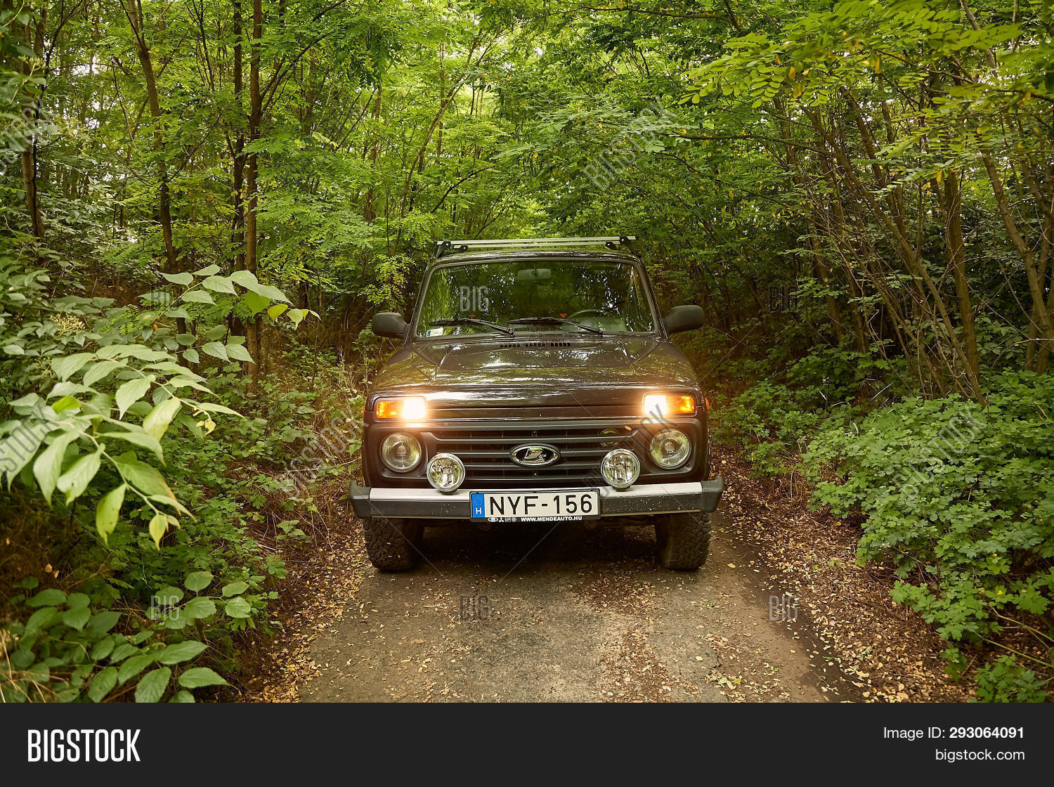 ECSER, HUNGARY JUNE Image & Photo (Free Trial) Bigstock
