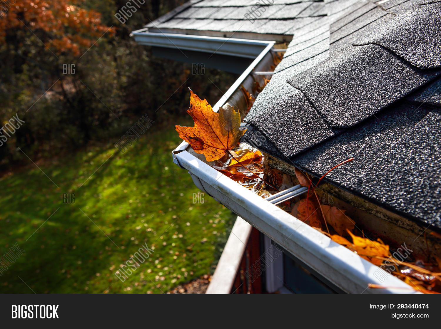 Autumn Leaves Rain Image & Photo (Free Trial) Bigstock