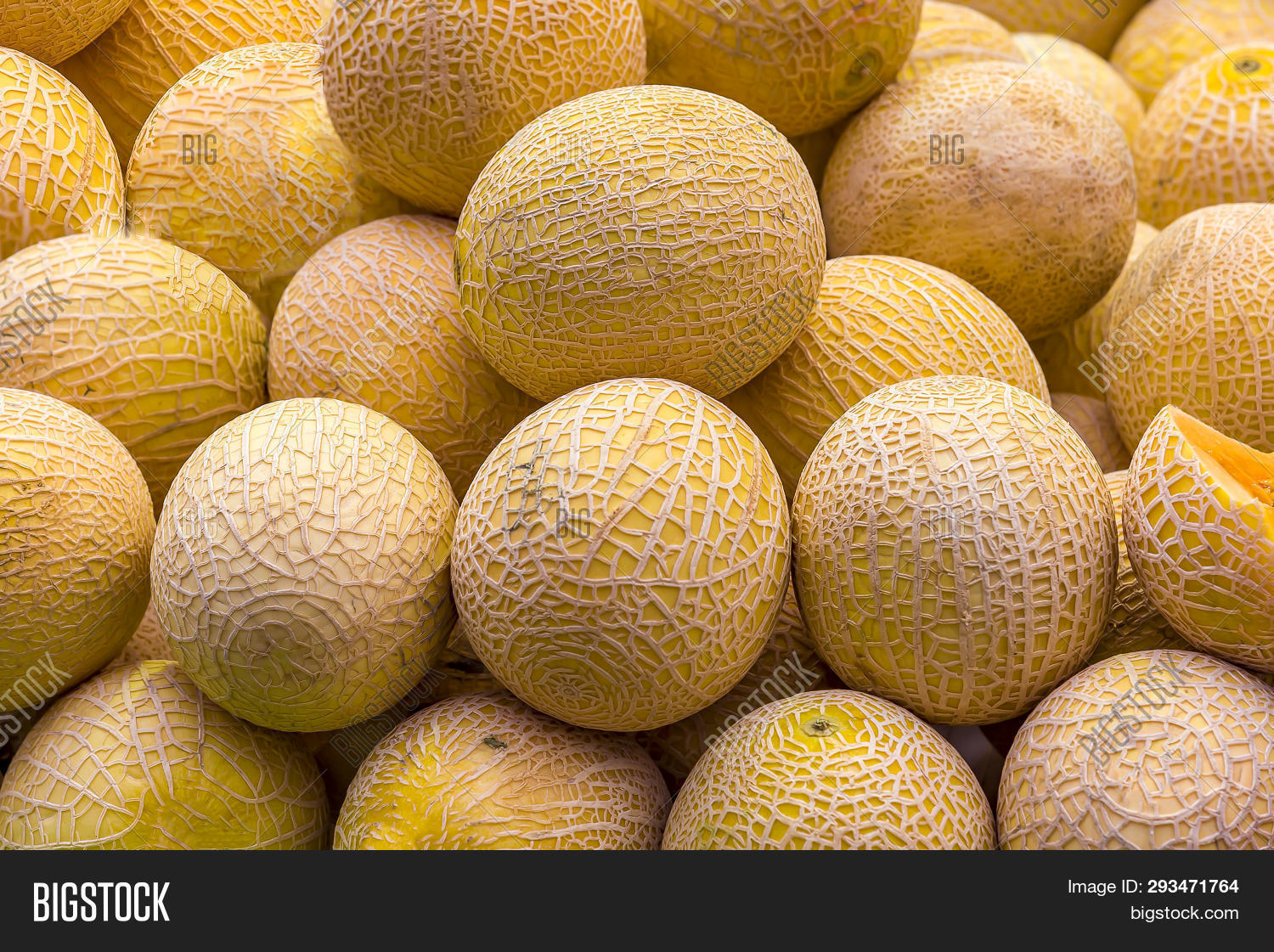 Дыня чарджоу. Туркменистан,дыни, бахчи. Дыня на белом фоне. Две дыни. Дыня бакинка.