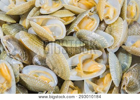Top View Of Baby Clam ,short-necked Clam,carpet Clam Or  Venus Shell,flat Lay.