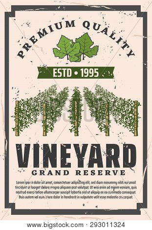 Winemaking House And Wine Grand Reserve Vintage Poster Or Bottle Label. Vector Premium Quality Wine 
