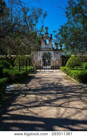 Botanic Garden Of The Coimbra University In Portugal