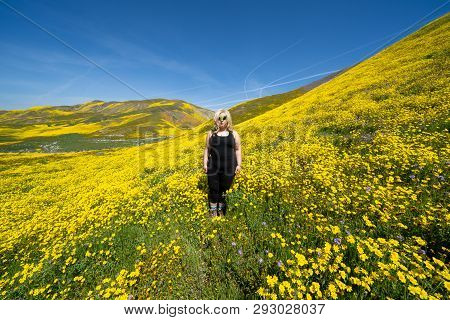Spooky, Creepy Blonde Woman Wearing Green Alien Sunglasses In A Field Of Goldfield Wildflowers In Ca
