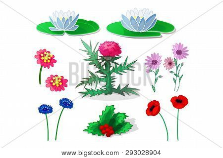 Vector Cartoon Plants Nature Clip Art. Flowers Set