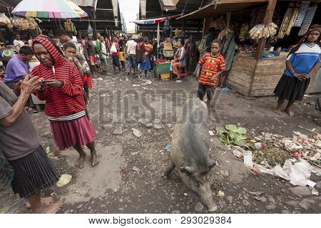 Wamena, Indonesia - January 9, 2010: People Are At The Local Market Of Wamena In Baliem Valley, Papu