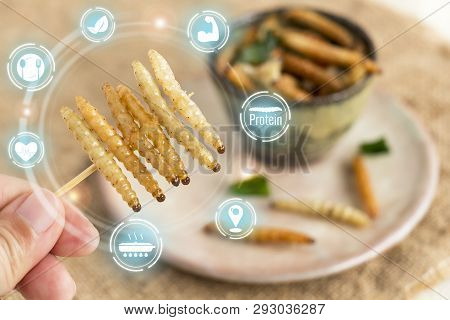 Food Insect: Woman Hand Holding Bamboo Worm Insect For Eating As Food Snack Deep-fried In Plate On S