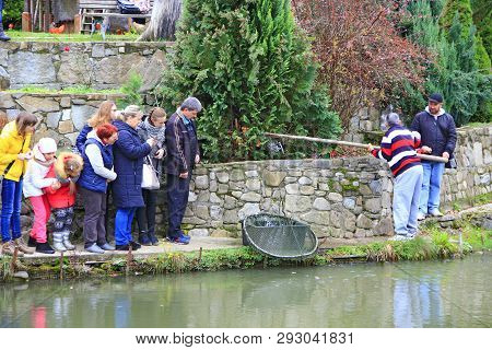 Kosiv Ivano-frankivsk Region/ Ukraine - 27 October 2017 / Ukraine: Man Catching Trout By Nettle In P