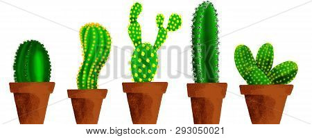 Collection Of Potted Cacti Green Plants Natural Border