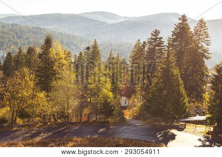 Warm Morning Light Over Predeal City. Sun Shining Through The Trees