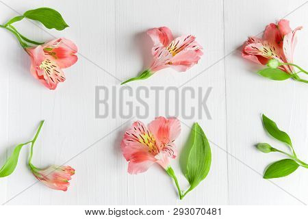 Pattern With Pink Flowers On A White Background. Alstroemeria Flowers On A Gray Background. Backgrou