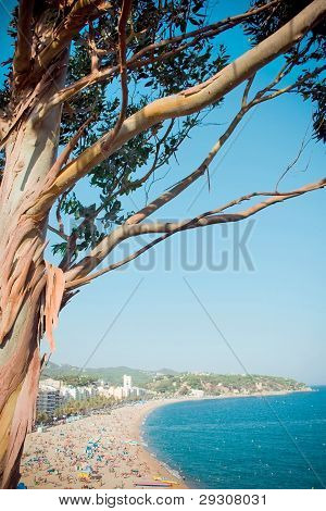 View on the beach, Costa Brava, Spain