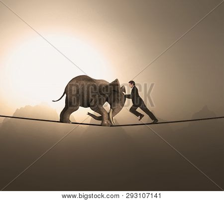 Man And An Elephant Pushing Eachother And Balacing On A Rope At High Altitude.
