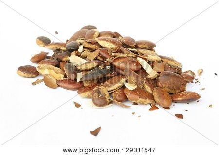 Kayu pražená semínka