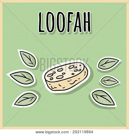 Natural Material Loofah Sponge. Ecological And Zero-waste Product. Green House And Plastic-free Livi