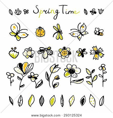 Set Hand Drawn Floral, Leaves And Insects Elements. Spring Collection. Cute Collection Of Design Ele