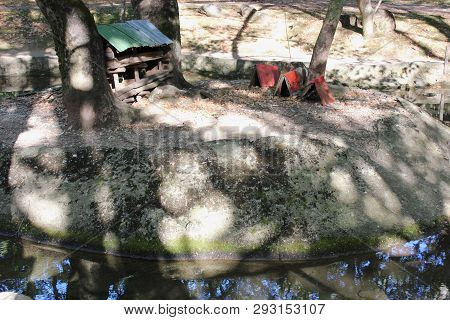 Agios Nikolaos Park Naousa Greece Europe