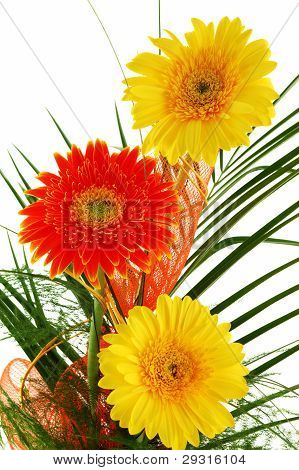 Fleurs - Gerbera