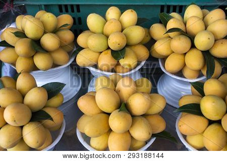 Marian Plum Or Gandaria Or Plum Mango On Stall For Sell At Local Shop In Thailand