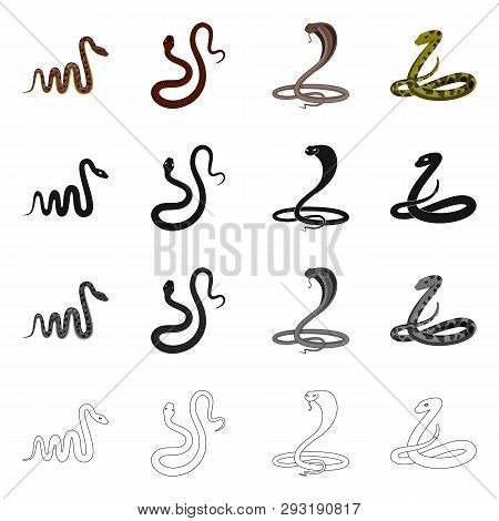 Vector Design Of Mammal And Danger Sign. Set Of Mammal And Medicine Vector Icon For Stock.