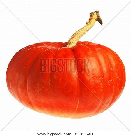 calabaza