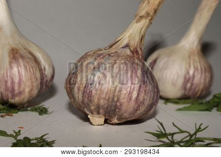 Garlic Three Heads Lying On A White Background Next To A Small Number Of Greens
