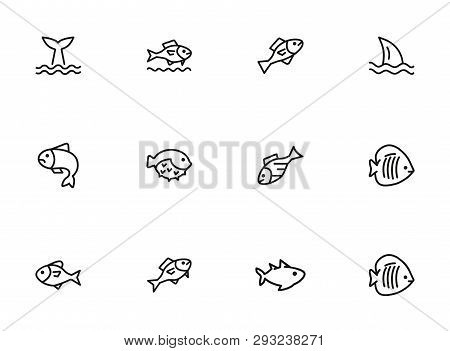 Sea Fishes Icon Set. Seaanimal Concept. Vector Illustration Can Be Used For Topics Like Seafood, Cui