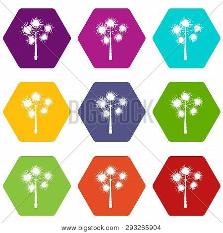 Palm Chamaerops Icon Set Many Color Hexahedron Isolated On White Illustration