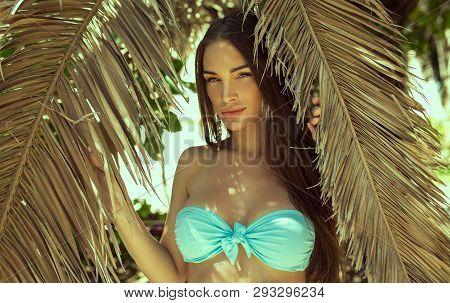 Attractive Young Brunette Woman Under Palm Tree