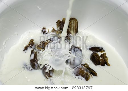 Hushaf - Date Milk, A Traditional Dish Of Ramadan, Cooking, Ingredients, Seedless Dates Lying In A S