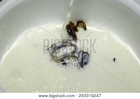 Hushaf - Date Milk, A Traditional Dish Of Ramadan, Cooking, Ingredients, Seedless Dates Lying In A S