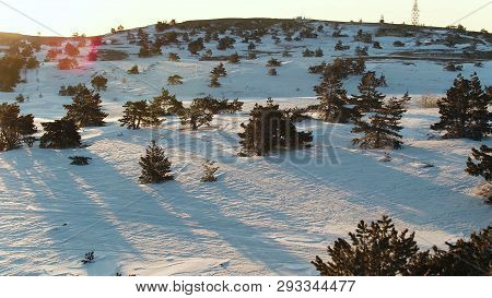 Aerial View Over The Spectacular Slopes Of The Mountains With Spruces. Shot. Winter Landscape Of Pin
