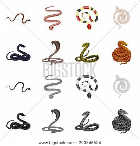 Vector Design Of Mammal And Danger Symbol. Collection Of Mammal And Medicine Stock Symbol For Web.