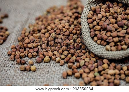 Close Up Shot Of Chickpea Or Chana Or Gram Or Cicer Arietinum In A Gunny Bag On A Brown Colored Back