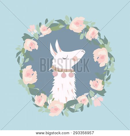 Cute Lama Face. Llama Cartoon Alpaca. Llama Animal Vector Isolated Illustration. Design For Card, St