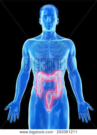 3d rendered medically accurate illustration of a mans colon