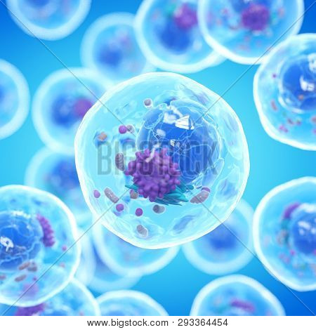 3d illustration of a human cell 