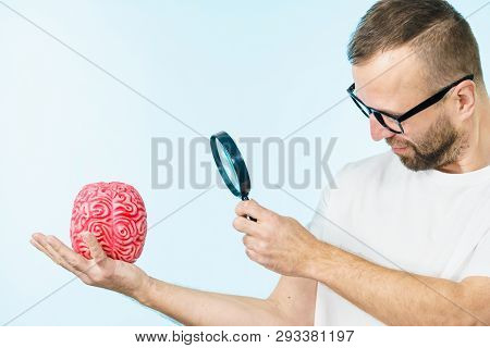 Adult Nerd Man Wearing Eyeglasses Looking At Human Brain Model. Thinking And Intelligence Conept