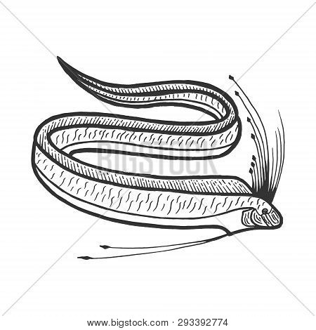 Giant Oarfish Fish Animal Sketch Engraving Vector Illustration. Scratch Board Style Imitation. Black