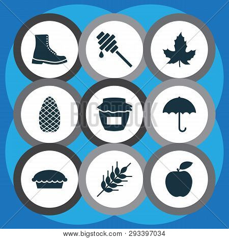 Season Icons Set With Wheat, Pine Cone, Umbrella And Other Cedar Elements. Isolated  Illustration Se