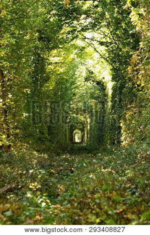Wonder Of Nature - Real Tunnel Of Love, Green Trees And The Railroad, Ukraine