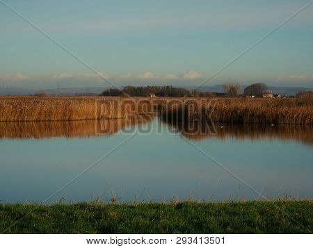 Coastal Wetlands And Reed Beds At Blacktoft Sands, East Yorkshire, England