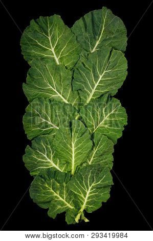 Rastan ( Collard Greens, Collards ) - Popular Leafy Vegetables In Balkan Cuisine - Isolated On Black