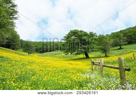 Background Of Beautiful Landscape In Green Fields And Blue Sky At Umbria, Italy Or Little Toscane Or