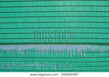 The Old Green Sun Protection Mesh And Lack. Can Not Prevent Sunlight.