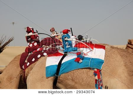 Roboter Jockeys auf racing Kamele